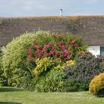Maintenance of your greenhouse during the cold weather